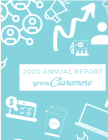 CIEDA 2020 Annual Report